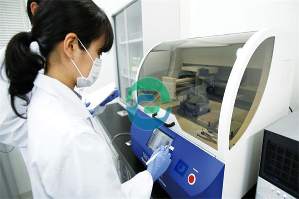 中山親子鑒定的真實(shí)陳述是一把雙刃劍！