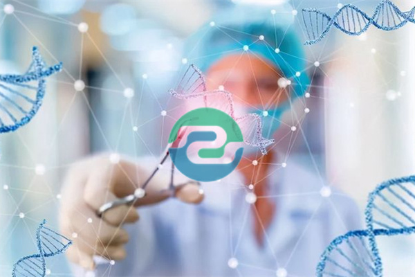 選擇中山正規(guī)親子鑒定機構的重要性