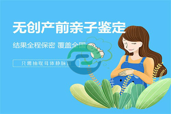中山無創胎兒親子鑒定:專供孕婦使用，安全方便