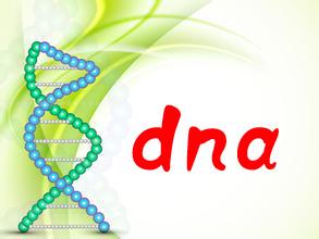 中山在哪里做戶口親子鑒定？戶口親子鑒定前需要做的準備