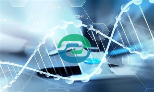 中山的DNA親子鑒定價(jià)格受哪些因素的影響？