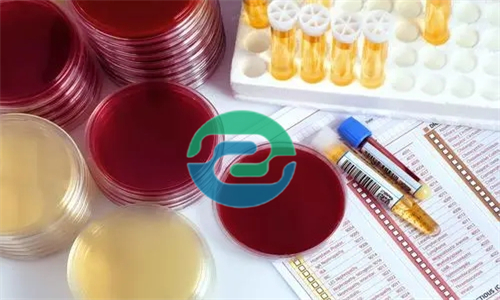 在中山做胎兒親子鑒定需要哪些證件？如何預約？