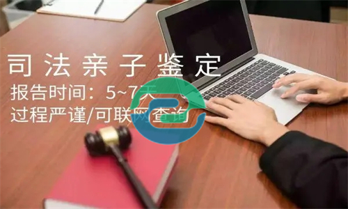 中山的DNA親子鑒定要多少錢？盛澤基因