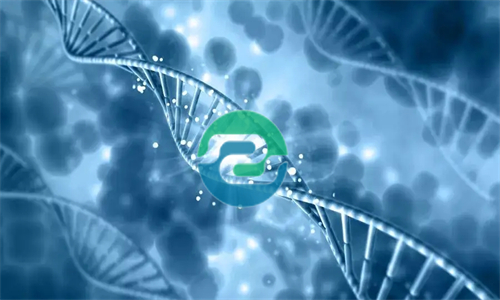 中山孕期親子鑒定的三種方法解析-盛澤基因