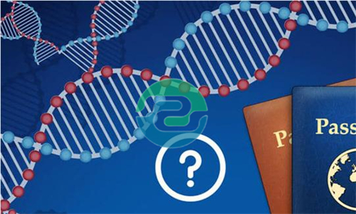 中山親子鑒定要花多少錢？