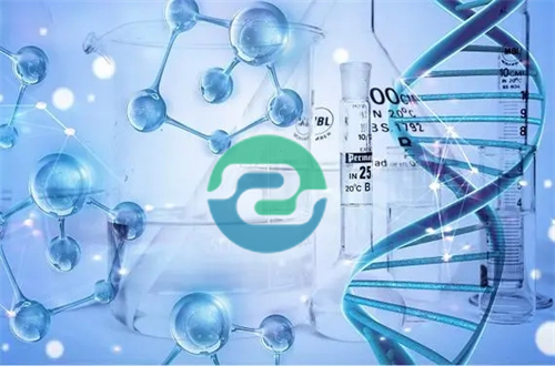 中山司法親子鑒定在哪里進(jìn)行呢？