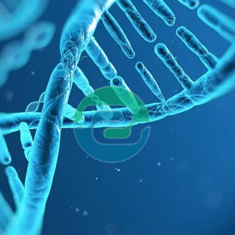 中山親子鑒定的具體流程是怎樣的呢？