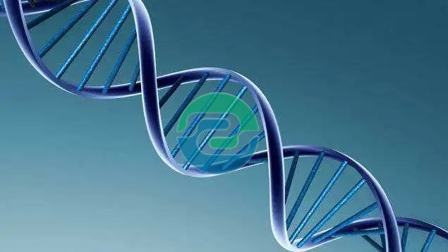 中山親子鑒定的價格不是固定的？盛澤基因