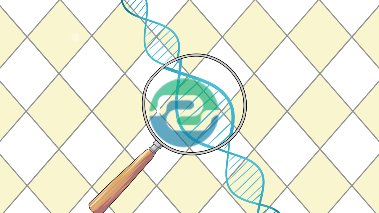 中山親子鑒定的程序是什么？