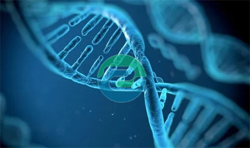 中山司法親子鑒定的用途、注意事項及其在維護家庭和諧和社會公正中的作用