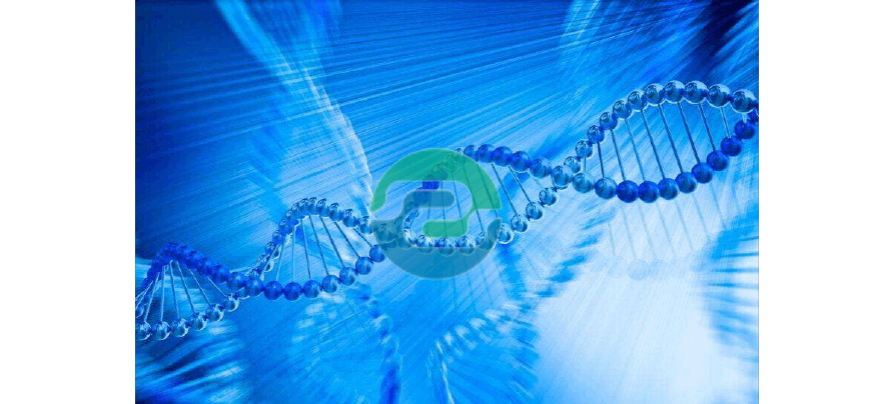 懷孕多長(zhǎng)時(shí)間可以進(jìn)行中山DNA親子鑒定？