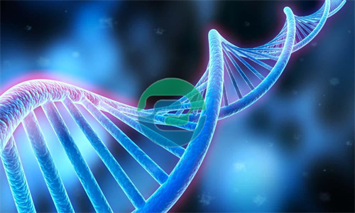 中山入學親子鑒定的詳細程序介紹