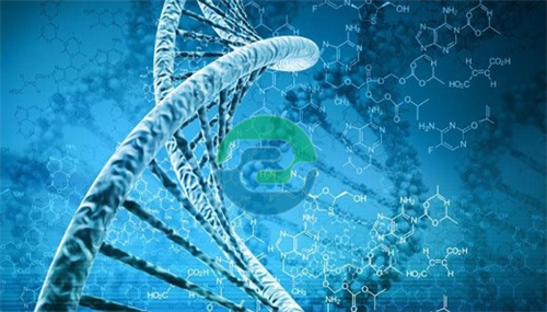 中山親子鑒定是否需要女方的同意？