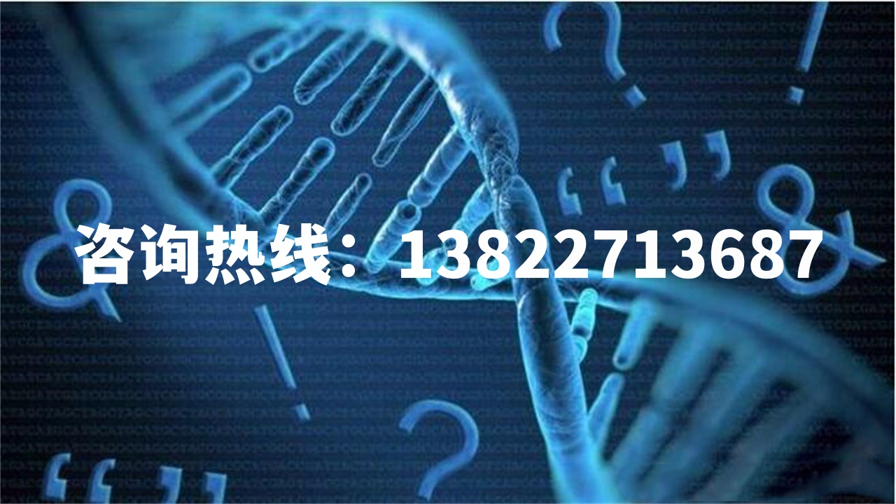 中山哪里可以找到正規的親子鑒定機構？