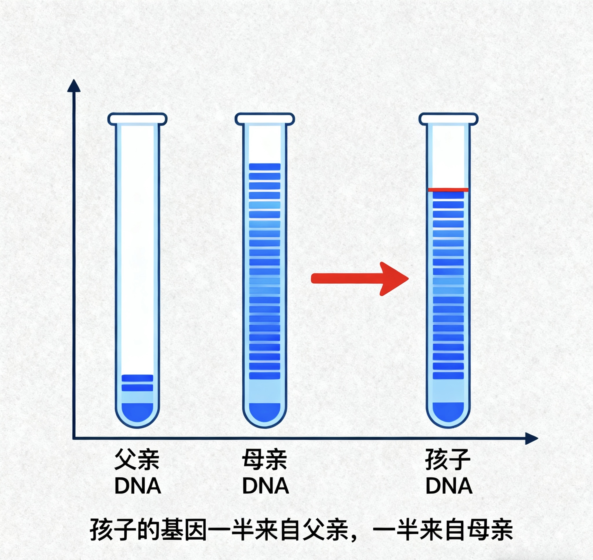 中山親子鑒定是通過科學手段確定父母與子女關系的一種技術